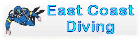 East Coast Diving Tel: 01406 365 402